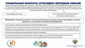 Что относится к поддержке в Яшма Золото