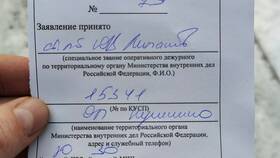 Что означает Альфа Чек в Яшма Золото