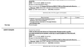 Что такое НПА при оплате по реквизитам в Яшма Золото