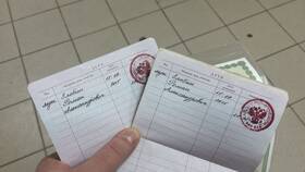 Что такое паспорт ребенка в Яшма Золото