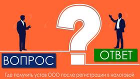 Что такое устав ООО в Яшма Золото