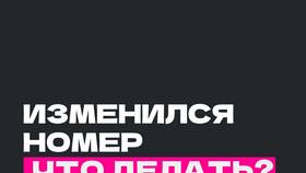 Как изменить номер телефона на портале Госуслуги в Яшма Золото