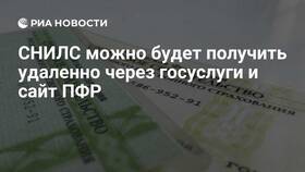 Как оформить СНИЛС новорожденному через Госуслуги в Яшма Золото