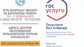 Как оформить займ через портал Госуслуги в Яшма Золото