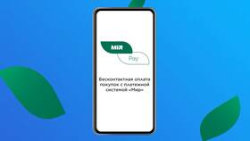 Как оплатить через систему 