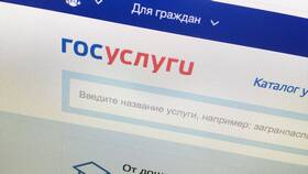 Как подать заявление на получение услуги через портал Госуслуги в Яшма Золото