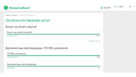 Как проверить остаток пакета интернета в МегаФоне в Яшма Золото