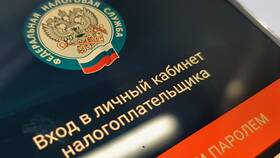 Как узнать сумму налога в Яшма Золото