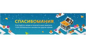 Программа лояльности 